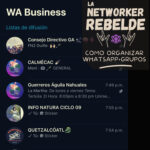 La Networker Rebelde